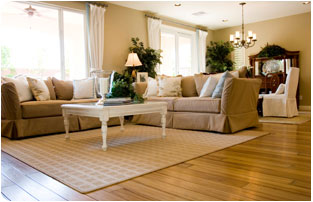 Consumer Home
